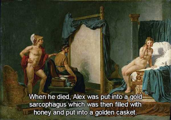 facts about alexander the great 8