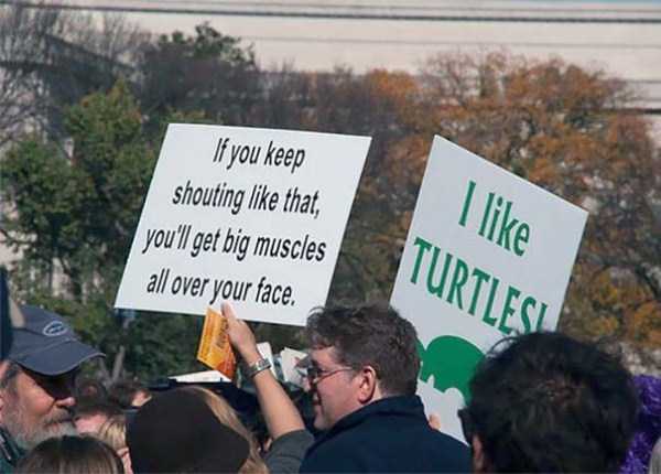 40 Funny and Creative Signs Spotted at Protests (40 photos)
