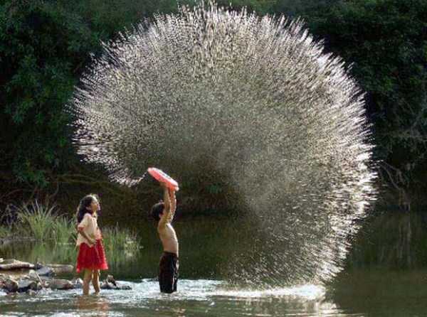 perfectly timed pics 19