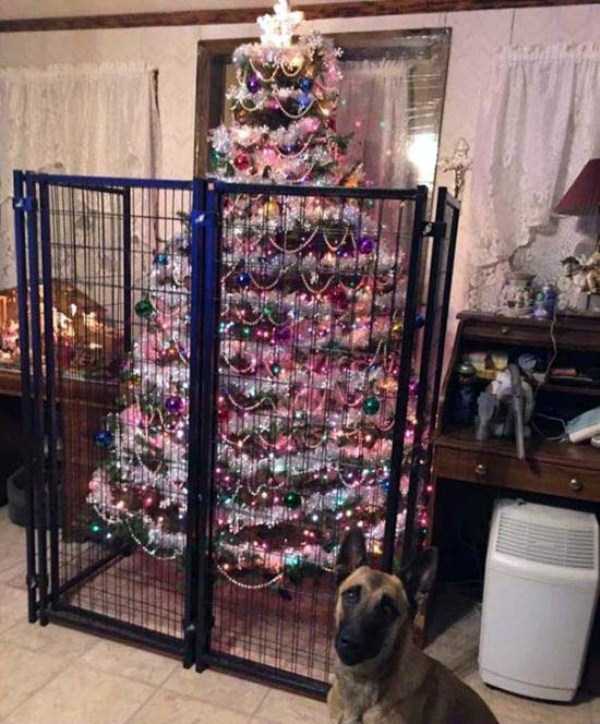 christmas trees protected from pets 14