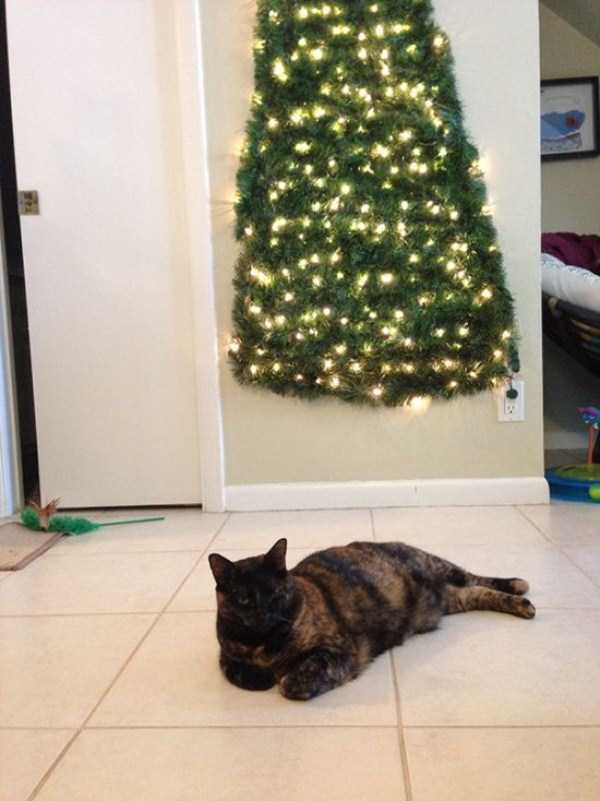 christmas trees protected from pets 19