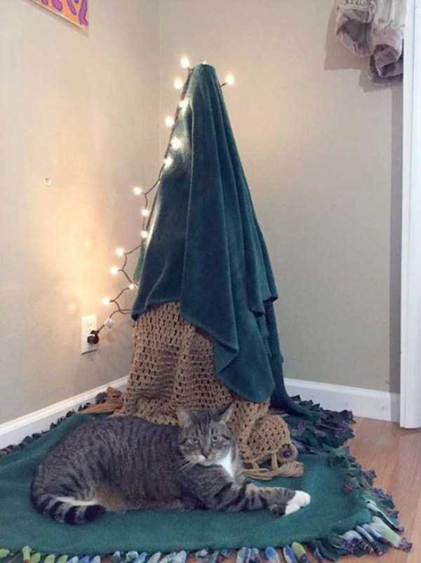 christmas trees protected from pets 2