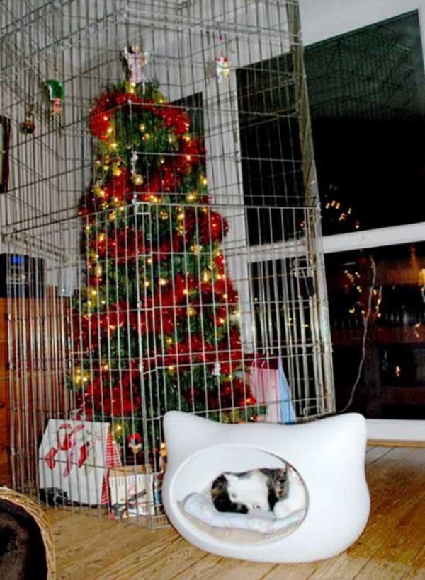 christmas trees protected from pets 29