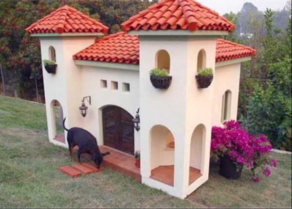 Pets Whose Homes Look Better Than Yours (20 photos)