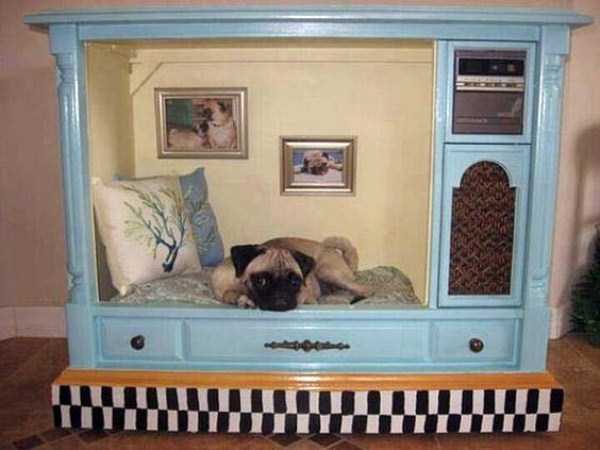 Pets Whose Homes Look Better Than Yours (20 photos)