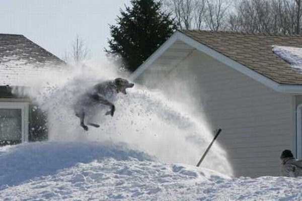 Winter is Approaching Fast (50 photos)
