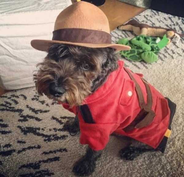 42 Entertaining Pics From Canada