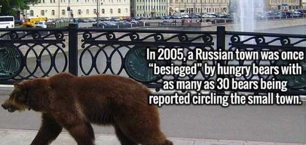 It’s Time For Some Cool And Interesting Facts – Part 43 (27 photos)
