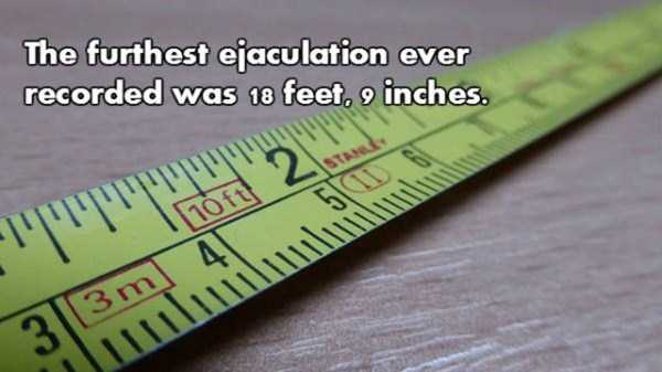 A Few NSFW ish Facts (18 photos)