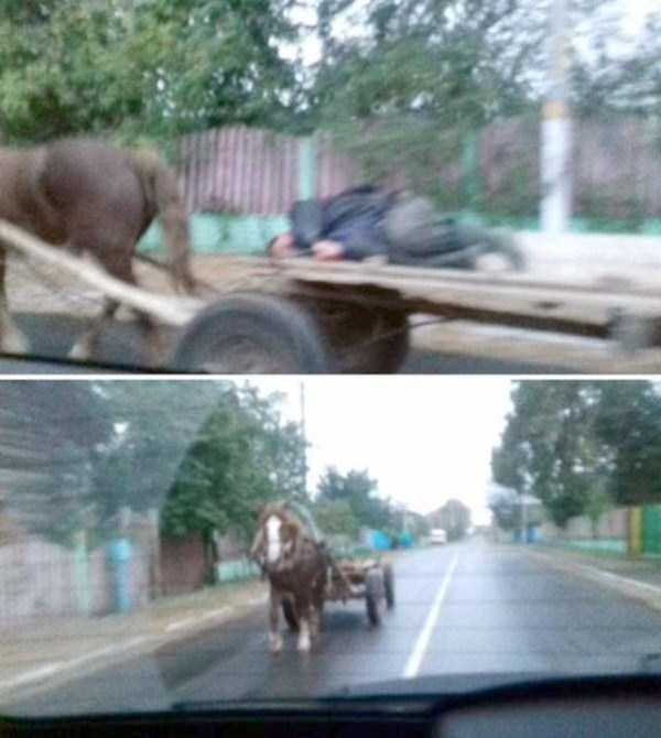 43 WTF Photos from the Planet Russia