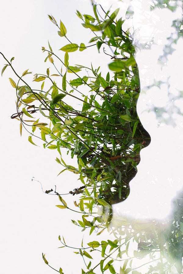 36 Nothing But Awesome Pics