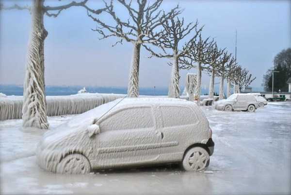 frozen cars 7