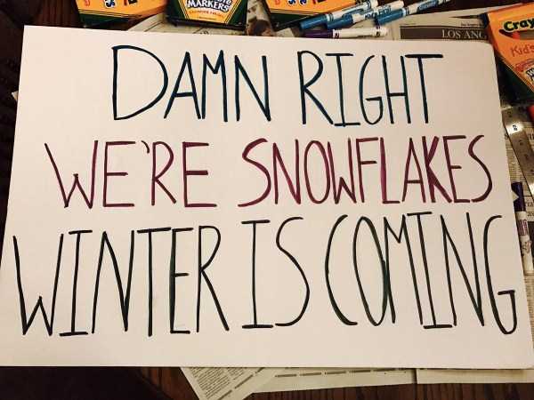 30 Funny and Creative Signs Spotted at the Womens March (30 photos)