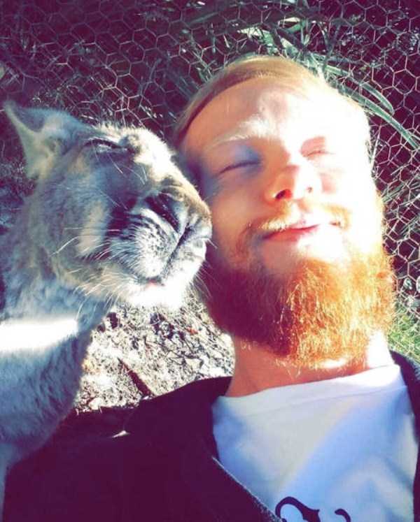 pets taking selfies 35