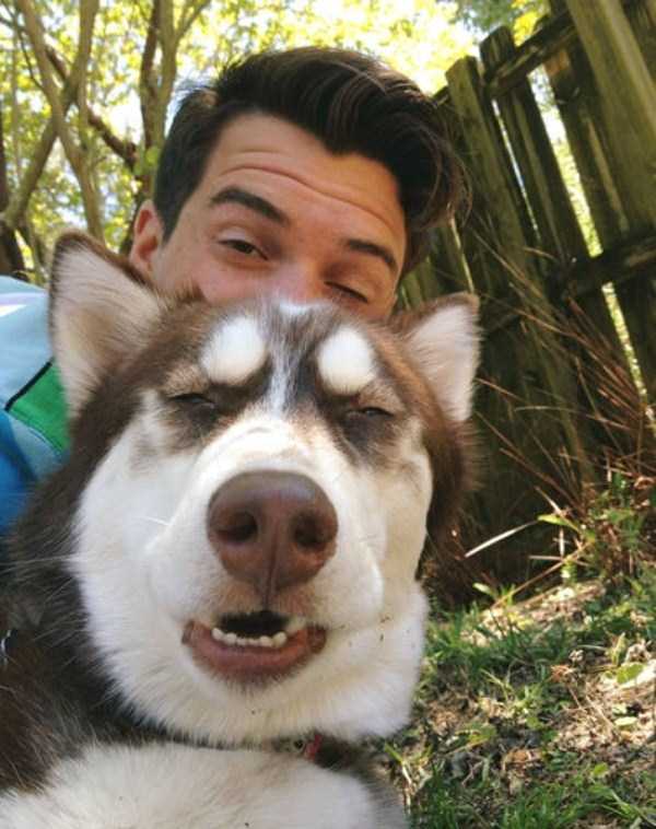 Animals Who Are Good At Taking Selfies (48 photos)