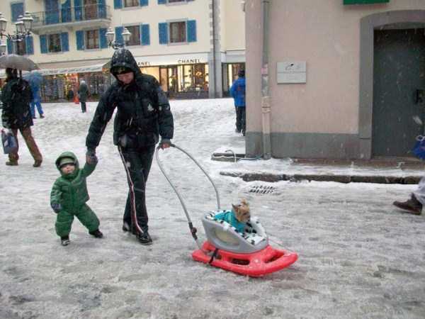 Amusing Winter Pics from Russia (42 photos)