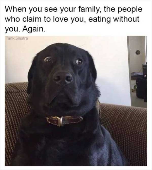 Tank Sinatras Hilarious Memes (58 photos)