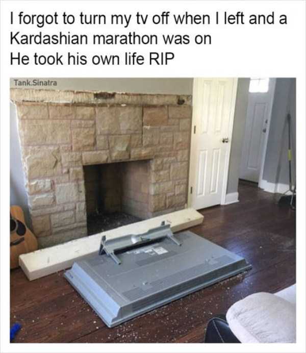 Tank Sinatras Hilarious Memes (58 photos)