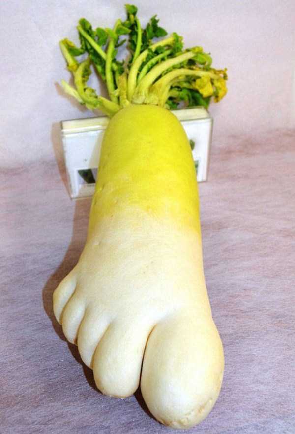 unusual shaped fruits vegetables 14