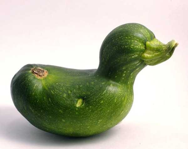 unusual shaped fruits vegetables 50