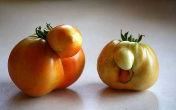 unusual shaped fruits vegetables 59