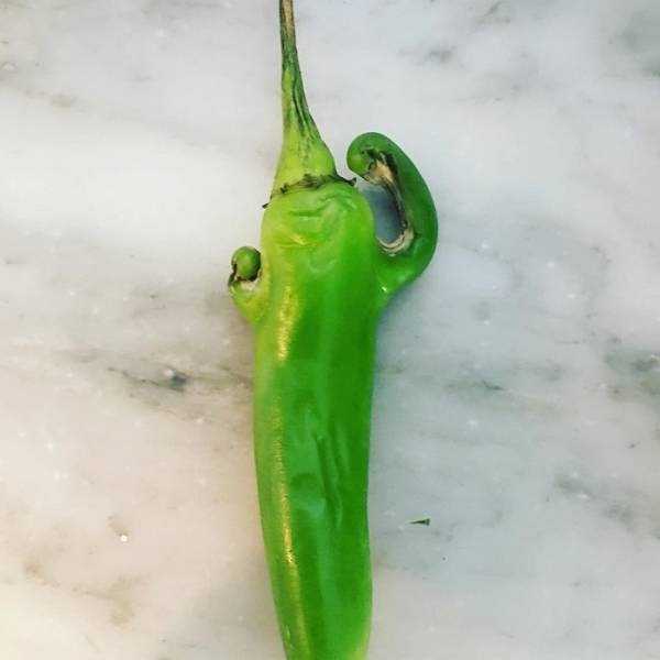 unusual shaped fruits vegetables 64