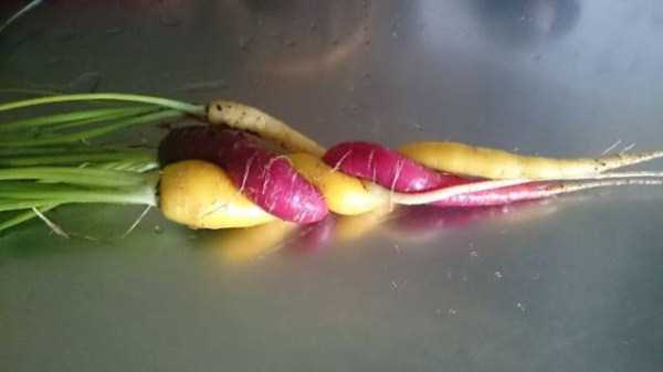 unusual shaped fruits vegetables 8