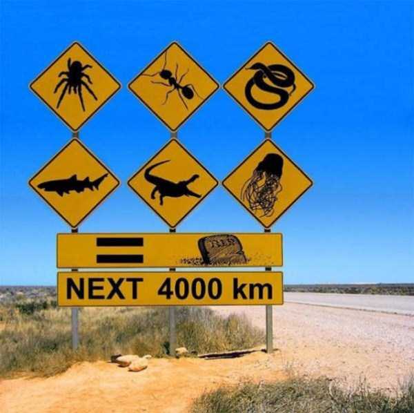 Funny Pics from Australia (42 photos)