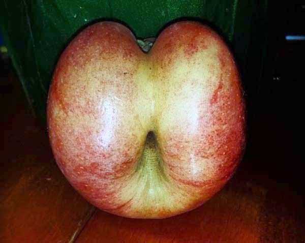 30 Butt Shaped Things (30 photos)
