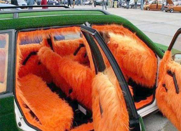 37 More WTF Photos, Because Why Not!?