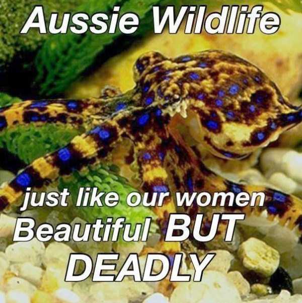 australia funny pics 6