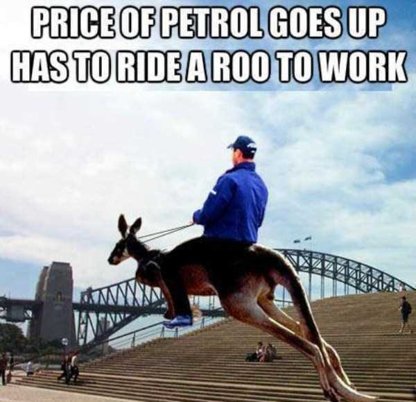 australia funny pics 9