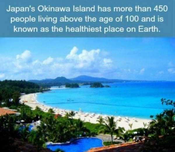 It’s Time For Some Cool And Interesting Facts – Part 45 (26 photos)