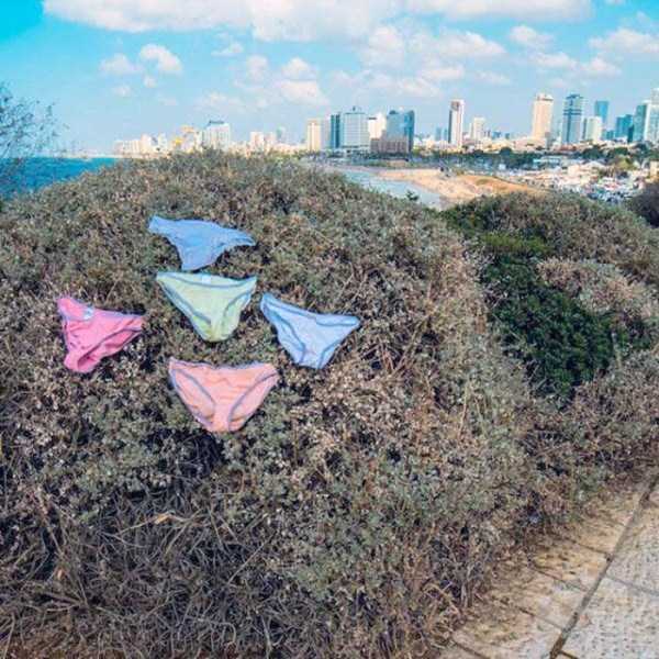 Meanwhile in Israel (40 photos)