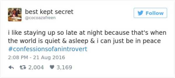 hilarious introvert tweets 30