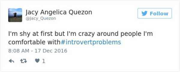 hilarious introvert tweets 39