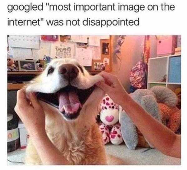 hilarious memes 21 These Funny Memes Are Exactly What You Need Right Now (45 photos)