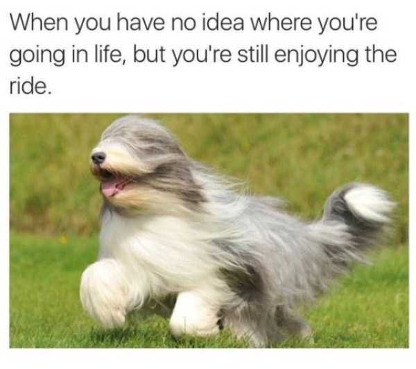 hilarious memes 23 These Funny Memes Are Exactly What You Need Right Now (45 photos)