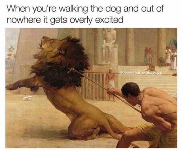 hilarious memes 26 These Funny Memes Are Exactly What You Need Right Now (45 photos)