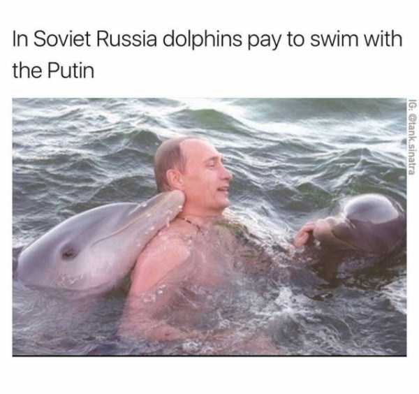 hilarious memes 32 These Funny Memes Are Exactly What You Need Right Now (45 photos)