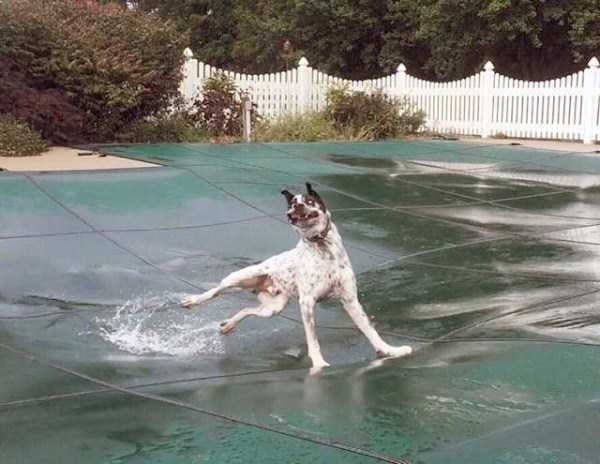perfectly timed pics 5