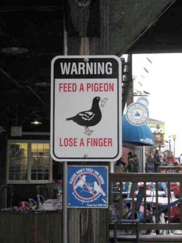 wtf confusing signs 24