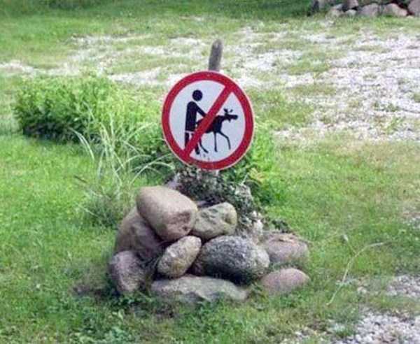 wtf confusing signs 42