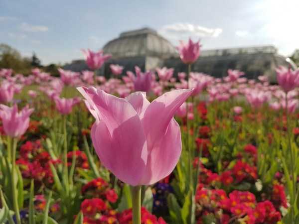 44 Nothing But Awesome Pics