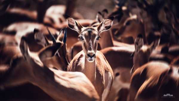 44 Nothing But Awesome Pics