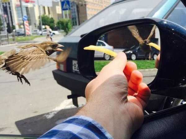 perfectly timed pics 60