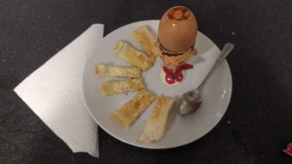 Beans Everywhere (27 photos)