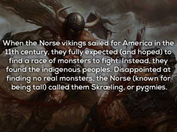vikings facts 1