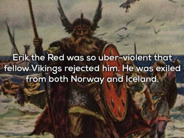 vikings facts 4