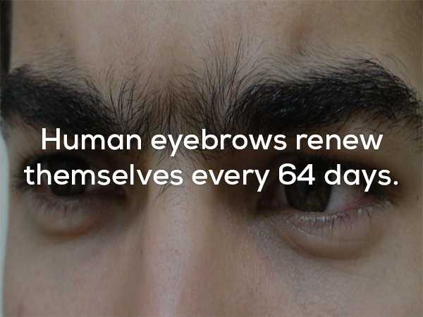 25 Sad Facts That Will Make You Depressed (25 photos)